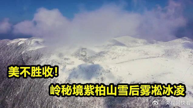 寻找我的礼物