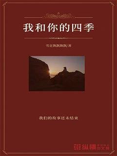 车辆出行高峰预测及安全提示