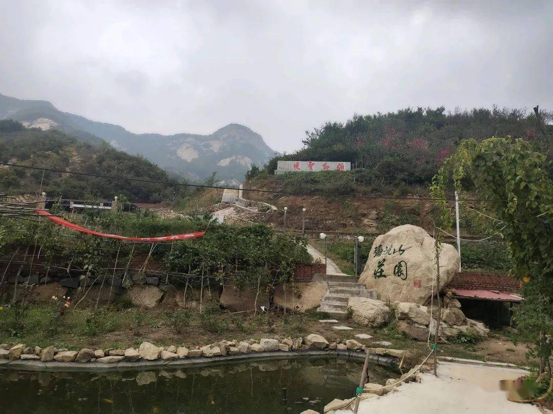 魔狐泡泡龙