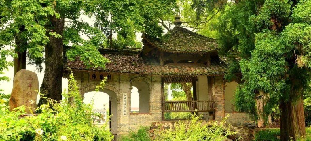 许昌市市场监管局:别在无资质场所购买散装食品