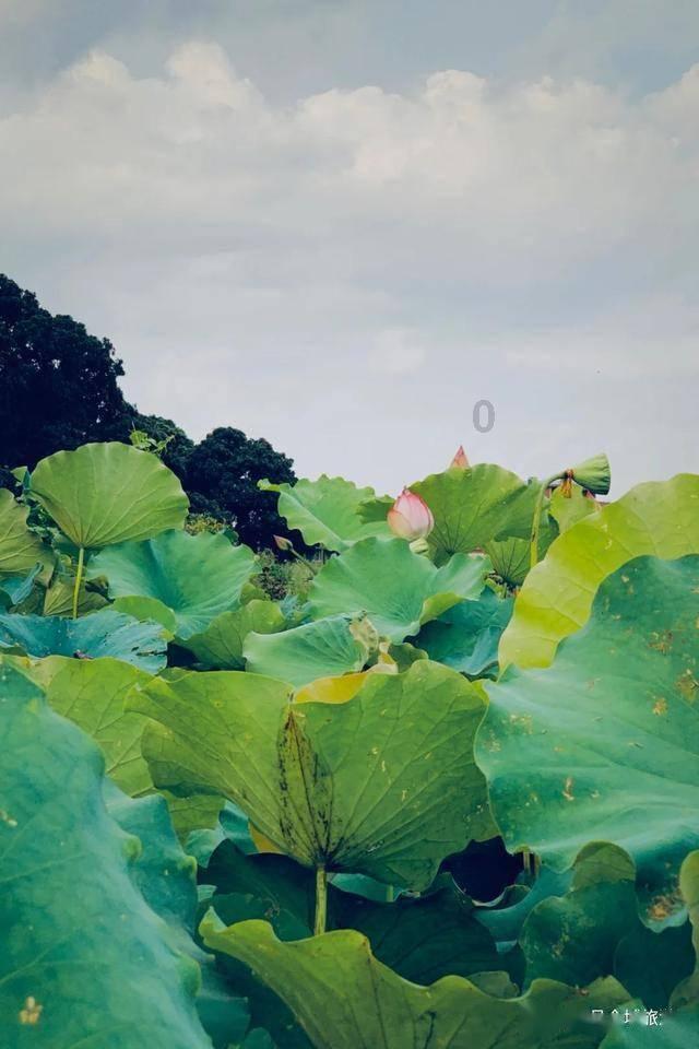 探索未知山峰